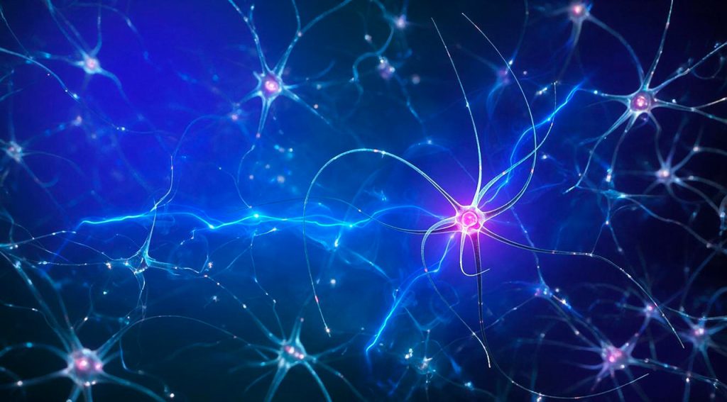 epilessie-neurologia-roma-1